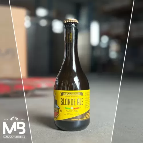 Pagus BLONDE ALE - 0,375 L