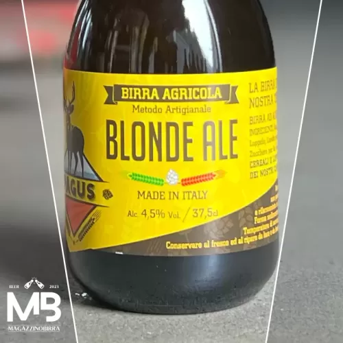 Pagus BLONDE ALE - 0,375 L