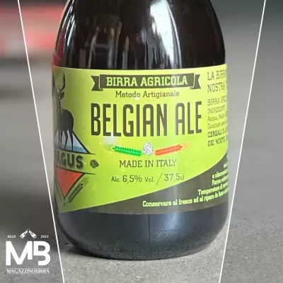 Pagus BELGIAN ALE - 0,375 L