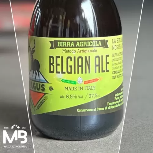 Pagus BELGIAN ALE - 0,375 L