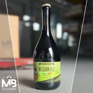 Pagus BELGIAN ALE - 0,75 L 2