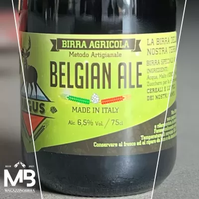 Pagus BELGIAN ALE - 0,75 L