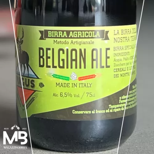 Pagus BELGIAN ALE - 0,75 L