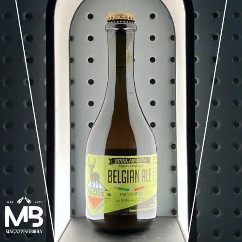 Pagus BELGIAN ALE - 0,375 L