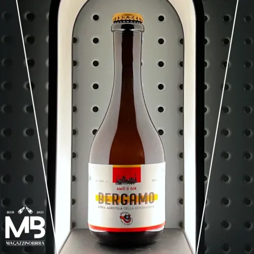 Pagus BLONDE ALE - 0,375 L